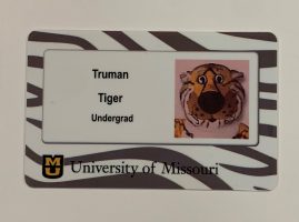 TigerCard Manager