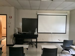 Audience view