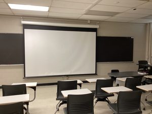 Audience view