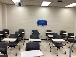 Instructor view