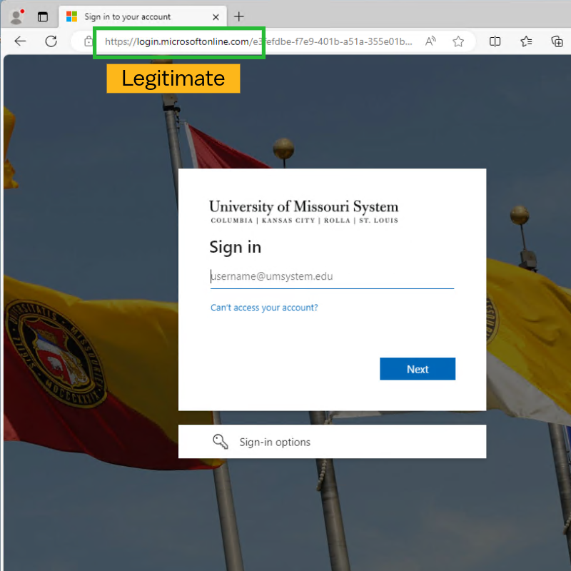 Screenshot of a sign-in page showing a legitimate URL domain: login.microsoftonline.com